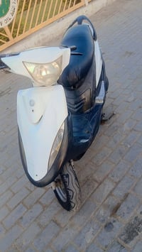 ماكس عدلا • سلف • هندل