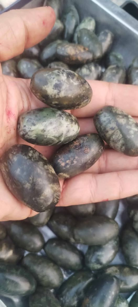 جملة فقط اقل طلب ٢٥ قطعة حجر عباس اباد زيتوني أفغاني غير مخطوط سعر القطعة ٥ الاف
تواصل واتساب *********** بغداد, العراق
