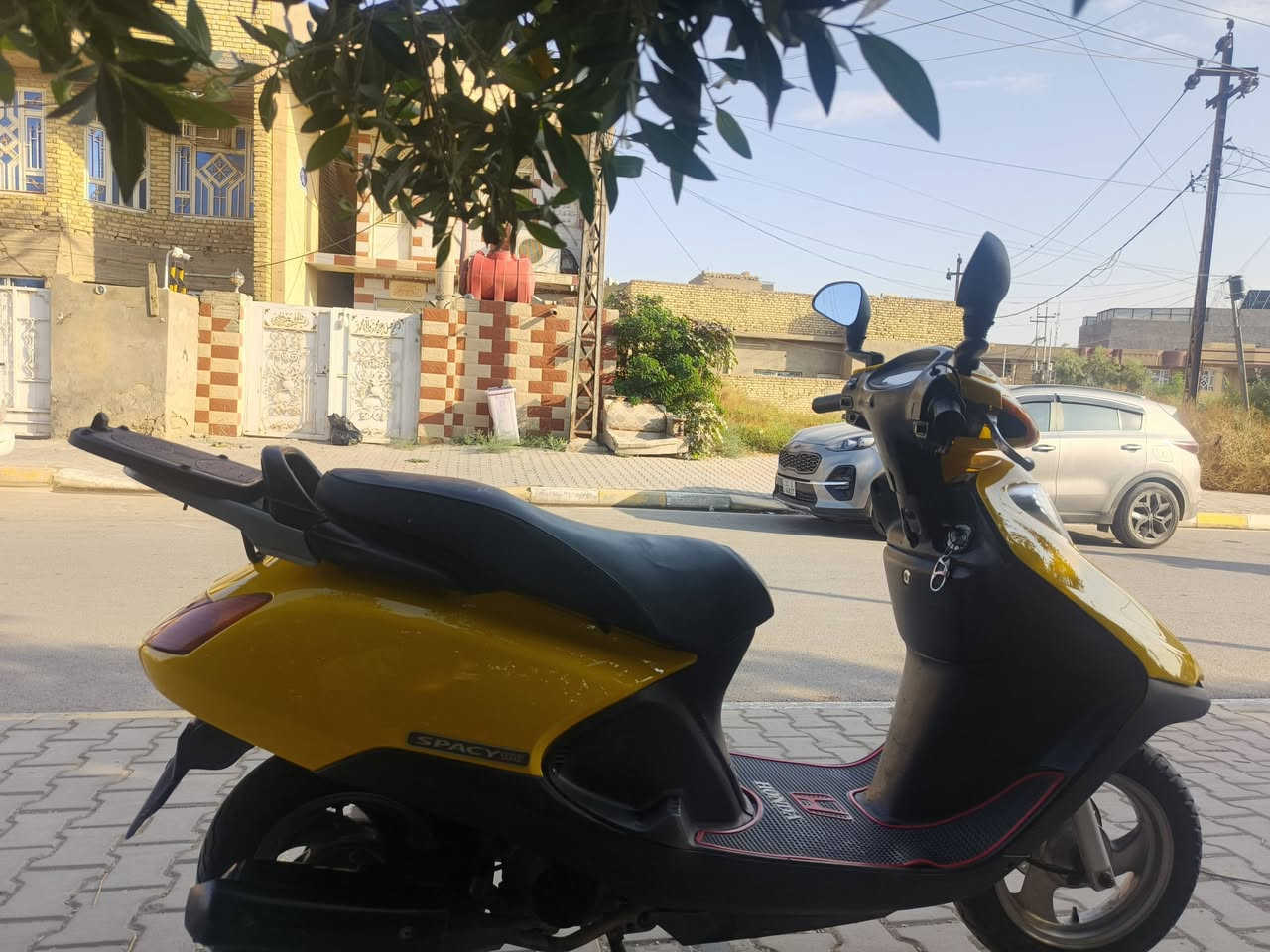 سبيسي • ياباني • سلف