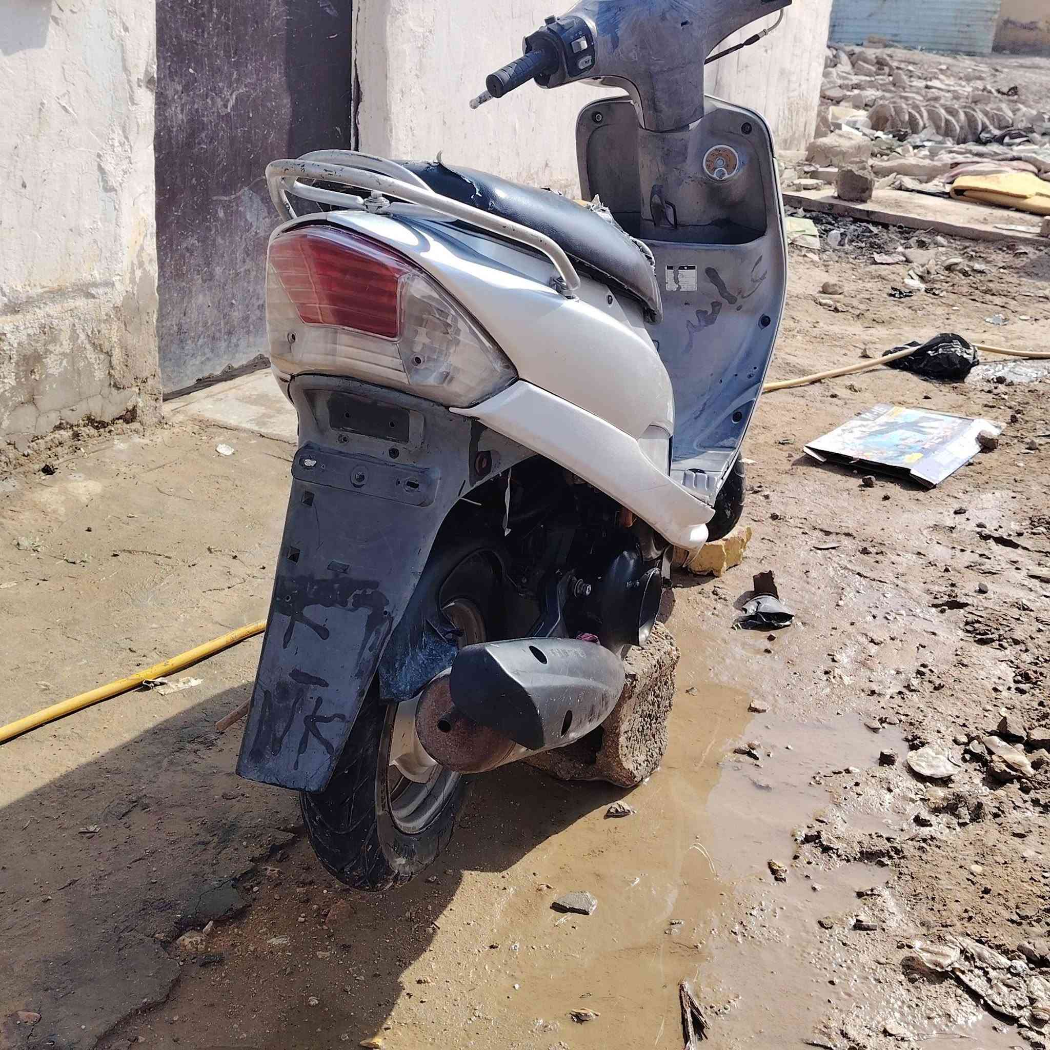 ماكس منغولي • بوشه 55 • ديوانيه