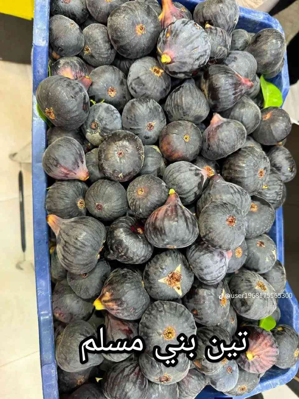 🌿 متوفر لدينا الآن أجود أصناف شتلات التين للزراعة 🌿
نوفر لكم شتلات تين منتخبة بعناية، تمتاز بجودة عالية وإنتاج وفير، ومن أفضل الأصناف:
🍃 تين بيذنجاني
🍃 تين العبد السعودي
🍃 تين جامبو الإسباني الأصفر
🍃 تين براون التركي
🍃 تين عسلي
🍃 تين بني مسلم
✅ شتلات قوية وصحية
✅ مزروعة داخل القضاء وبإشراف كادر زراعي متميز
✅ ضمان الصنف وجودة الشتلات
✅ مناسبة للحدائق المنزلية والبساتين
📞 للحجز والاستفسار: *********** (متوفر واتساب)
📍 نسعد بزيارتكم، وأهلاً وسهلاً بكم دائمًا.
🌱 الجودة تبدأ من اختيار الشتلة المناسبة.
