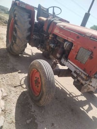 عنتر • ديالى • مكفول