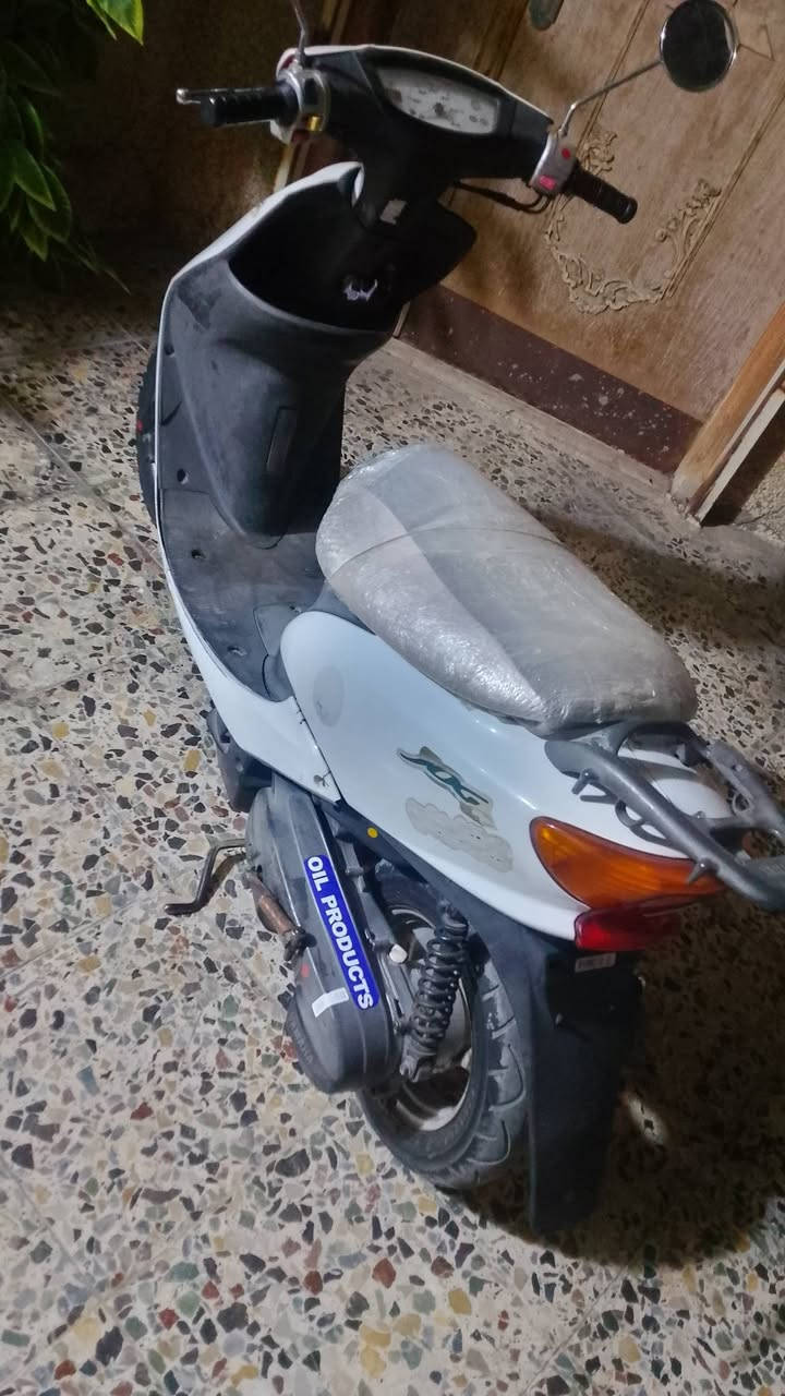 عصفوريه • جديده • بلاديه