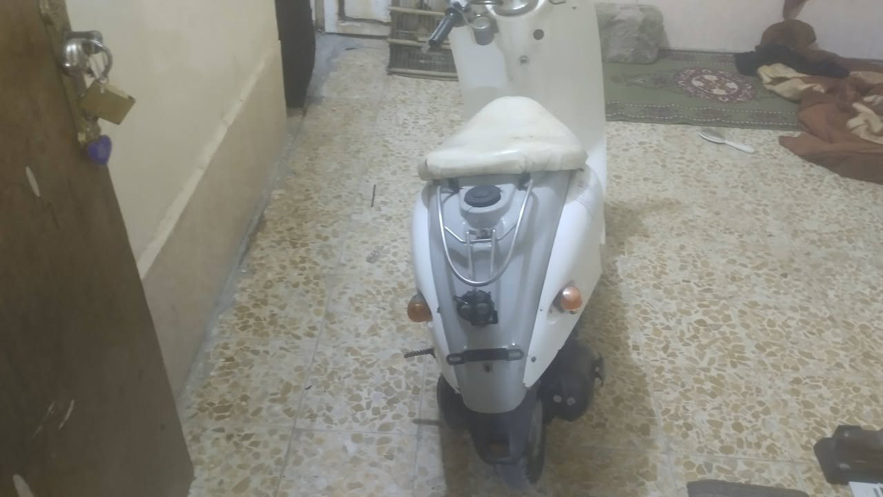 عبدالحليم • كهربائيات شغال • مجال بسيط