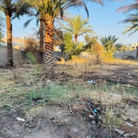 عندي قطعه ارض واجهتها ١٣ والنزال ٤٠ قطعه تجاري على طريق بغداد الخالص ف...