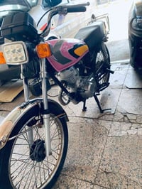 كهربايات • شغاله • بدون اوراق