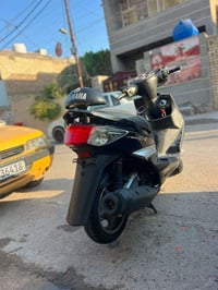 سكنس فحل • كوري • ماشيه ١٦٠٠٠