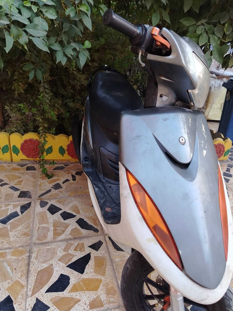 ماكس عدله • ١٢٠ • بوشه ٥٥