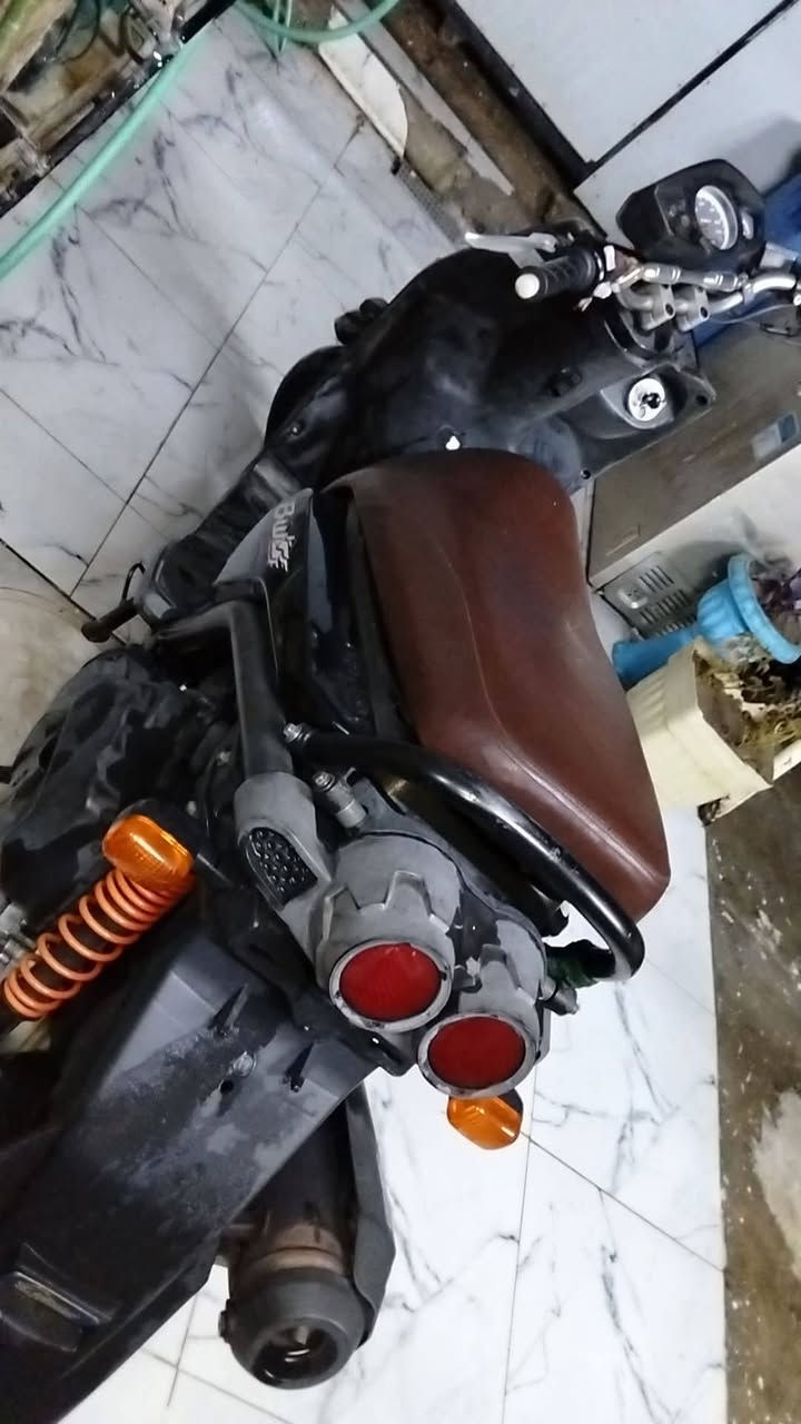 سكنس جبلي • ياباني • ١٢٠