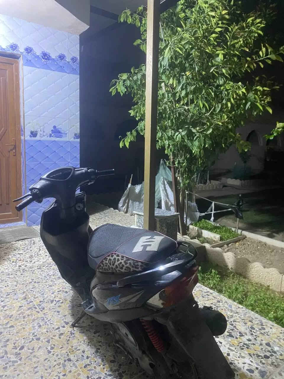 شلعه • معدل • كامل