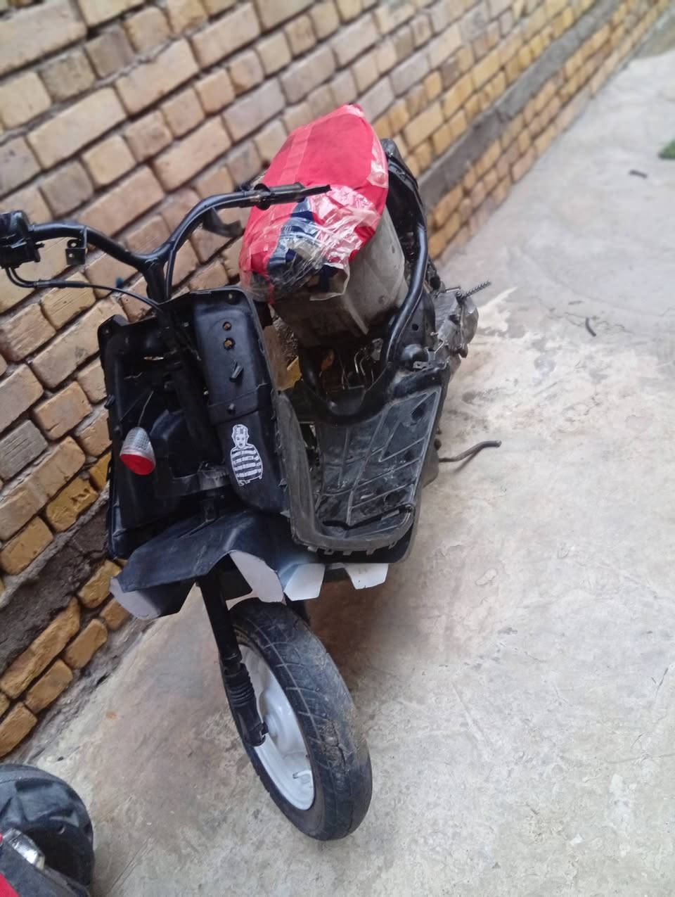 بيجي • ضفيره كاملة • سكراب
