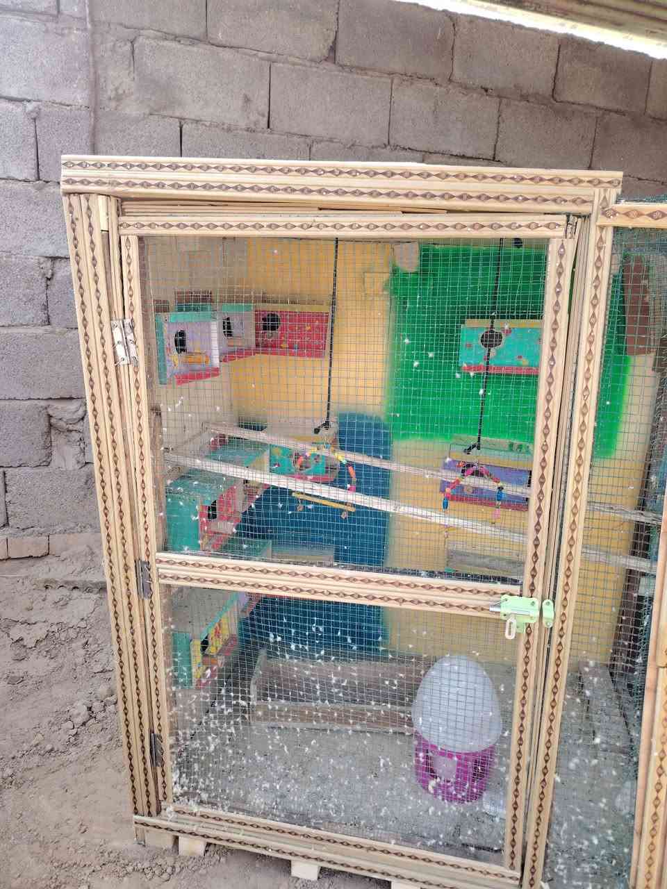 قفاص طيور • طيور حب • ٢٠بيت