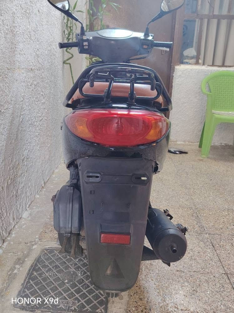 اكزز • يابانية • مكفولة