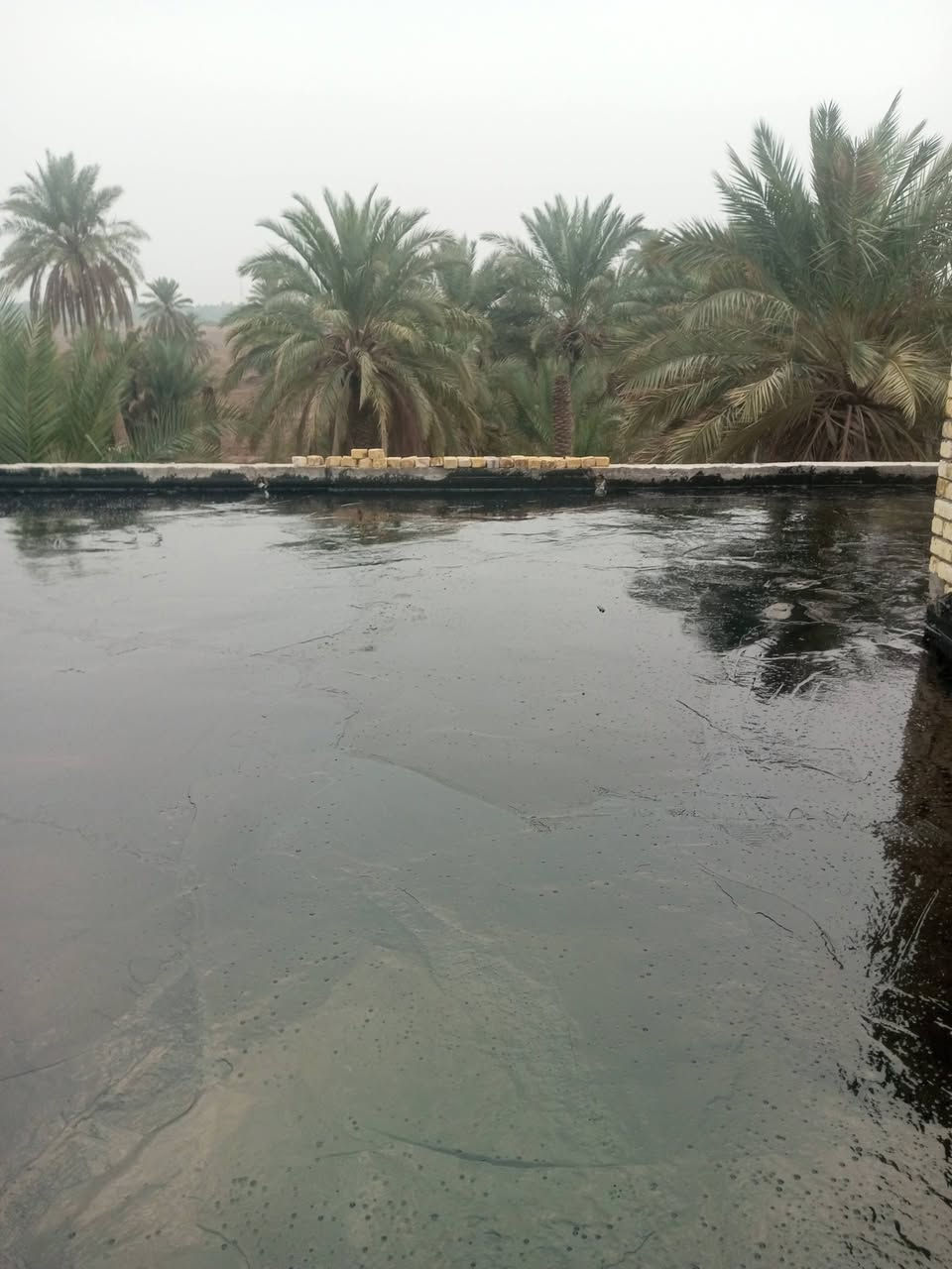 اسعارنا مناسبه وعملنه شرط النجاح وفق الفحص الهندسي***********  يوجد لدينا كافة انواع الزفت وتطبيك الشتايكر وتصليح الأسطح واعادة الماستك للإستفسار الاتصال على الرقم التالي  ***********.   🌧️🌧️🌧️  ***********🌧️🌧️🌧️🌧️
