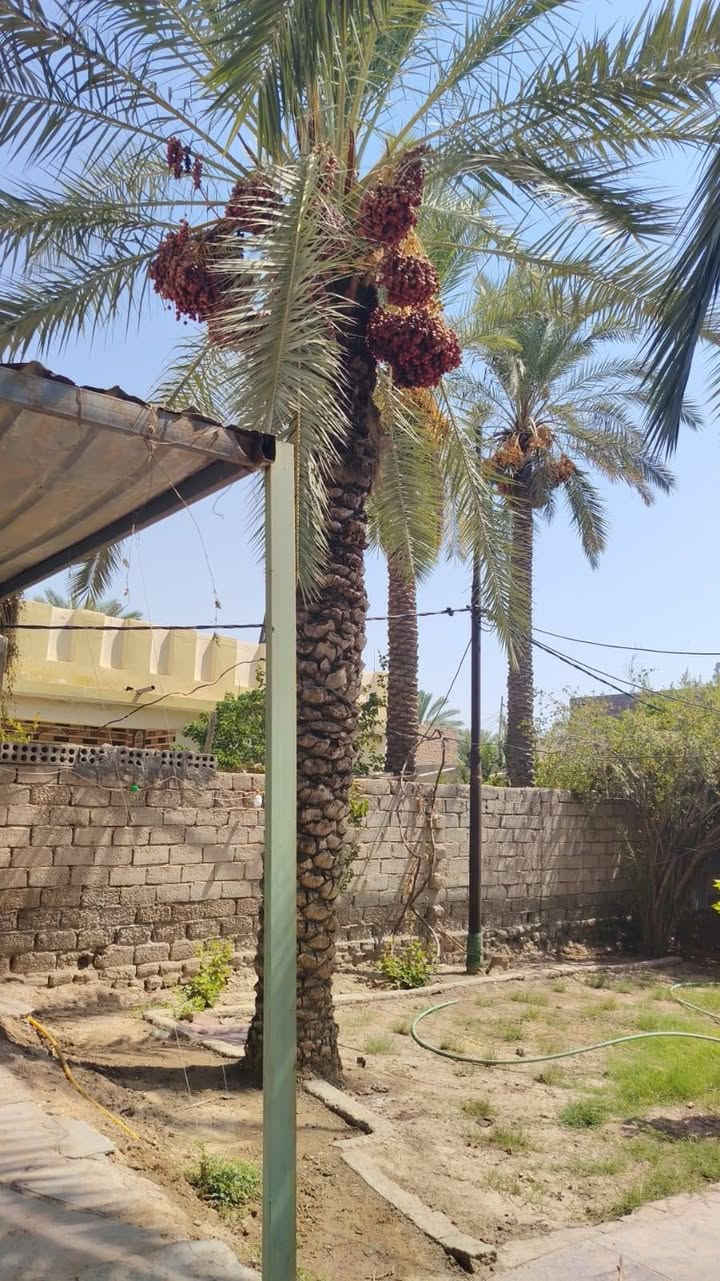 السلام عليكم،
إعلان بيع عقار
النوع:منزل سكني
الموقع:طريق دغارة سومر، على الشارع العام.
المساحة:600 متر مربع.
المواصفات:

عدد 2 غرف نوم
مطبخ
صالة

حديقة
استقبال

السند:طابو صرف.
للاستفسار والاتصال:***********
