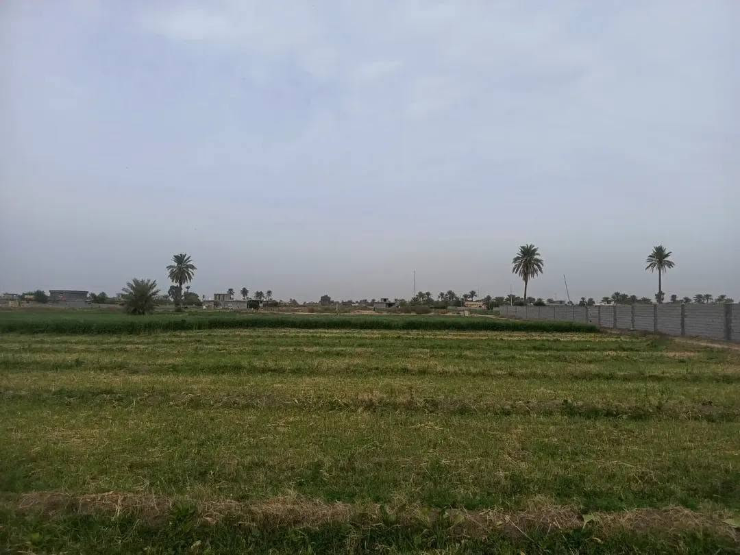 دونمين طابو ملك صرف ثاني يوم تحويل بسمك كاملة المواصفات كهرباء بوري مي جواها أو تبليط لعدة واصل مكانها أبو غريب غرب جامع عثمان بن عفان للستفسار (***********)👍
