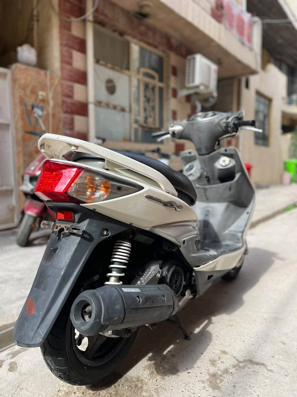 سكنس فحل • ماشيه ١٢الف • كفالة