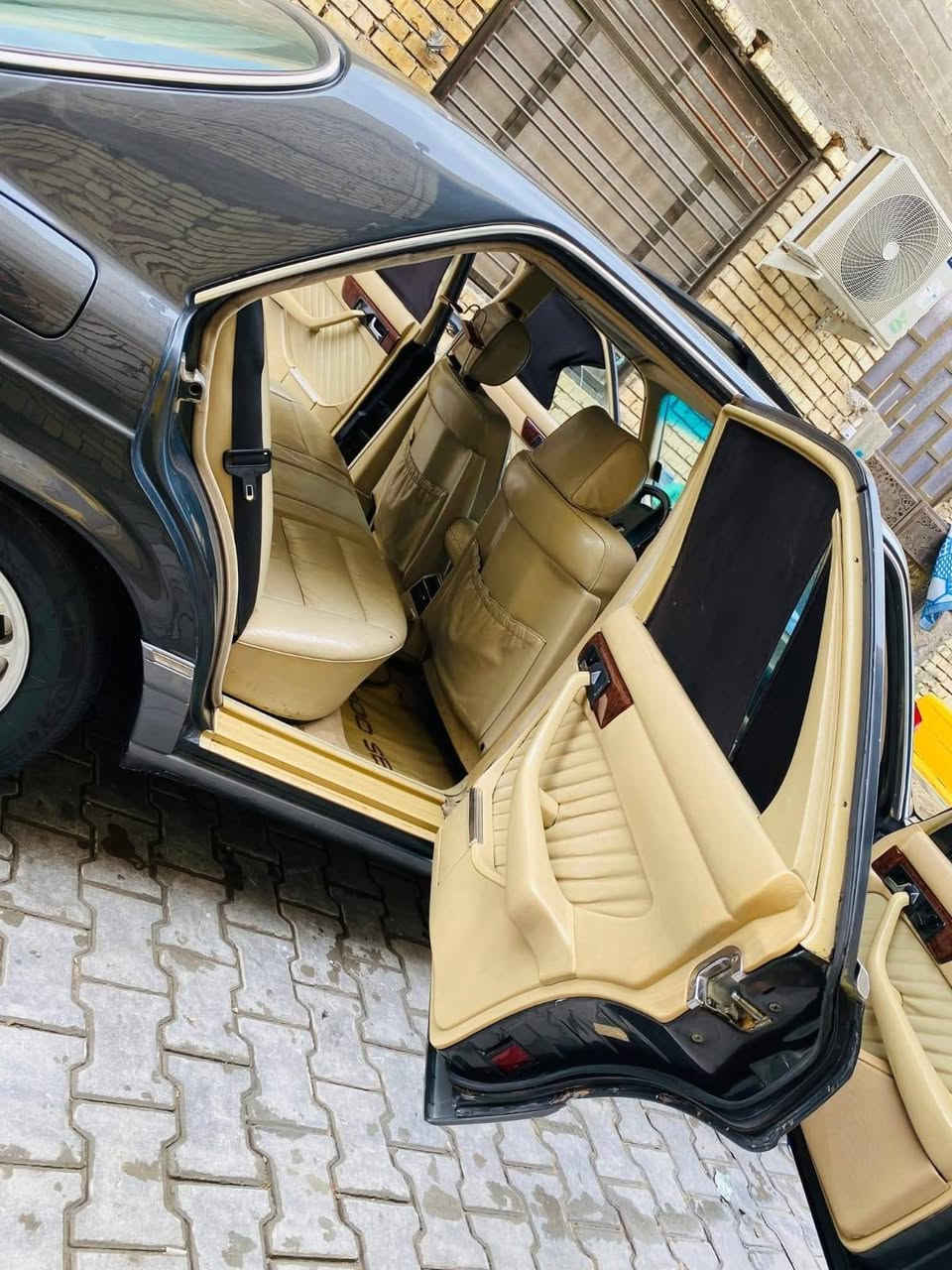 سلام عليكم عندي دب وعندي جامبو للبيع التفاصيل علا الرقم ***********
