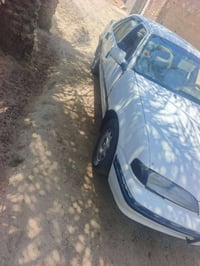 برنس • ١٩٩٢ • الانبار الرمادي