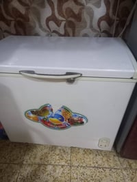 مجمدة • شغالة • زعفرانية