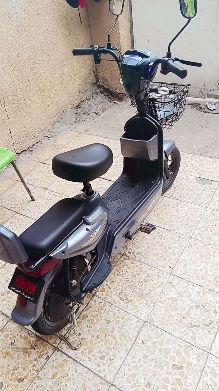 رقم فقط • بدون وصف • غير محدد