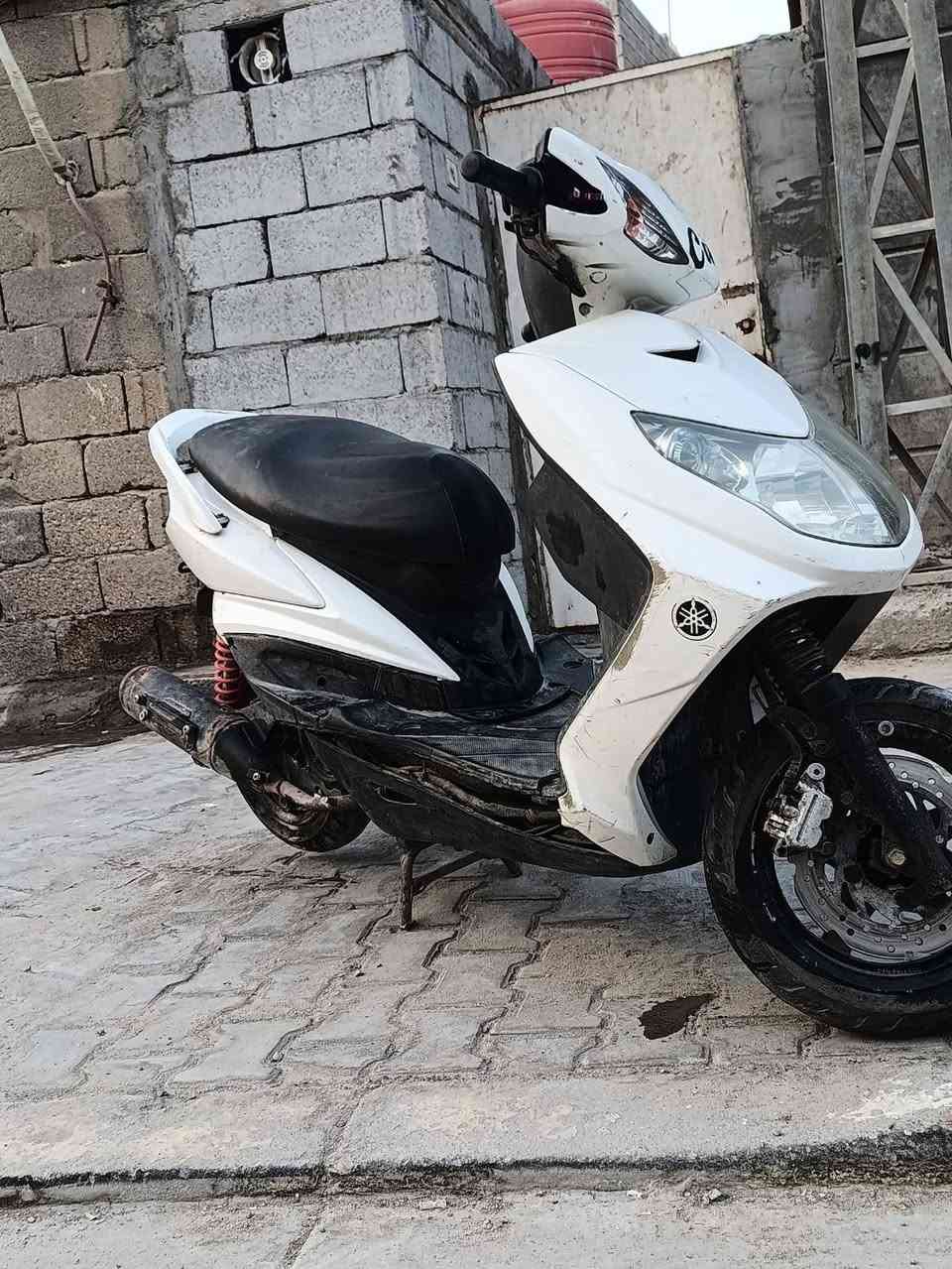 سكنس فحل • كهربا • كلج خلفي