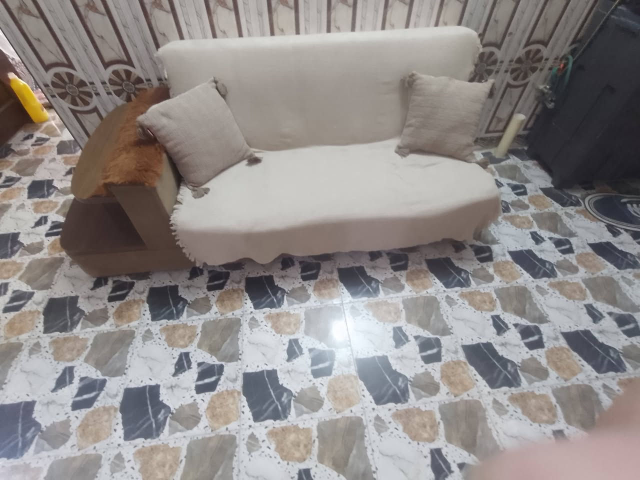 كنبة • نضيف • تخم