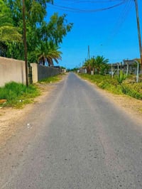 البصام • ٥ دونم • سند ٢٥
