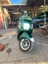 بوليس نوزل • ٢٠١١ • زيتوني