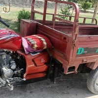 ستوتة • ٢٠١٥ • اوراق كاملة