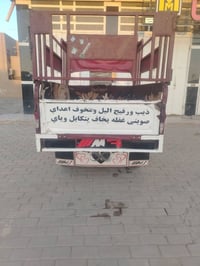 ستوته • موديل ٢٠ • نظيفه