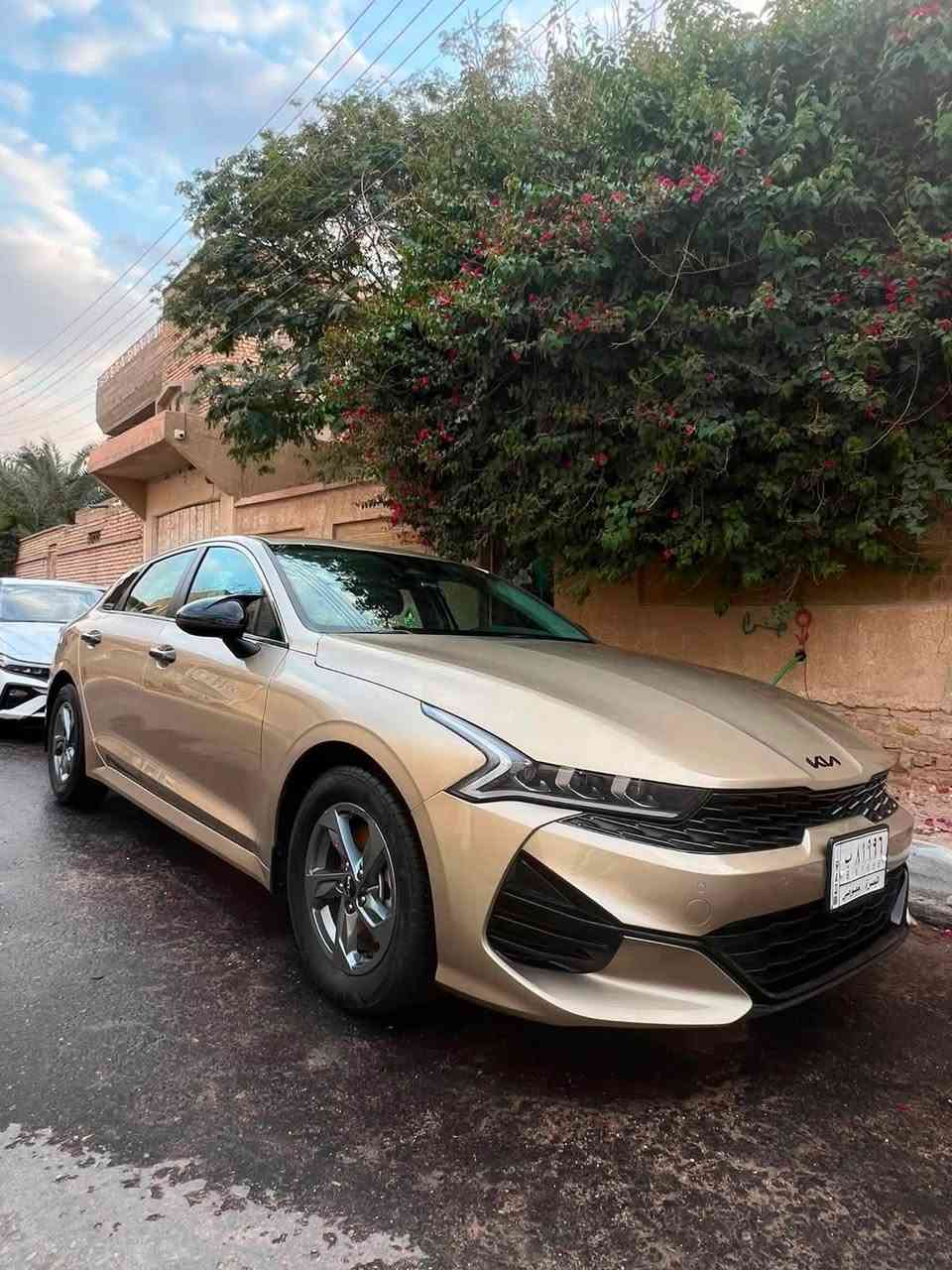 مكلف بنشر السلام عليكم 
كي فايف موديل 22 لون مميز وارد امريكي معوقين وكاله عامه بعد سنه او اقل تصير حرا ايرباكات كلهه سليمه اخوان صور الحادث مال امريكا بالمنشور وبالعراق صار بيهه حادث مثل الحادث الخلفي مال امريكا صندوك مصلح وراجع ميه بالميه وجاملغ بيهه قطعتين البنيد مبدل من امريكا وبالعراق مبدل جاملغ اصلي تفصيخ  والصندوك مصلح سعرها (163) وبخدمتكم تفاصيل اكثر اتصل او راسل واتساب / ***********
