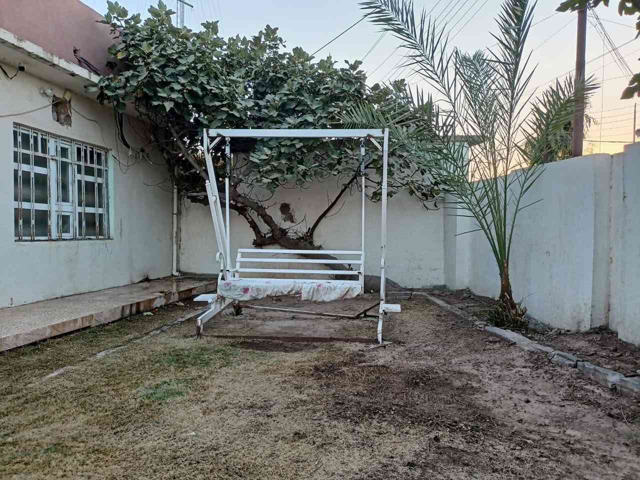 سلام عليكم جاهزين لتنضيف وتقليم جميع انواع الشجار وقص الحداي 💚🌴🌳🍊
اتصل ***********
