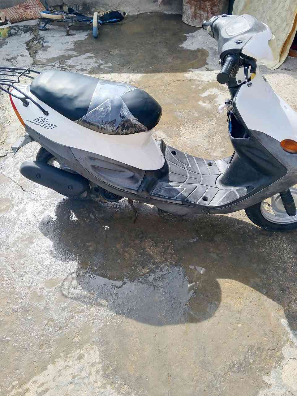 بيجي • مفتوحه • نضيفه