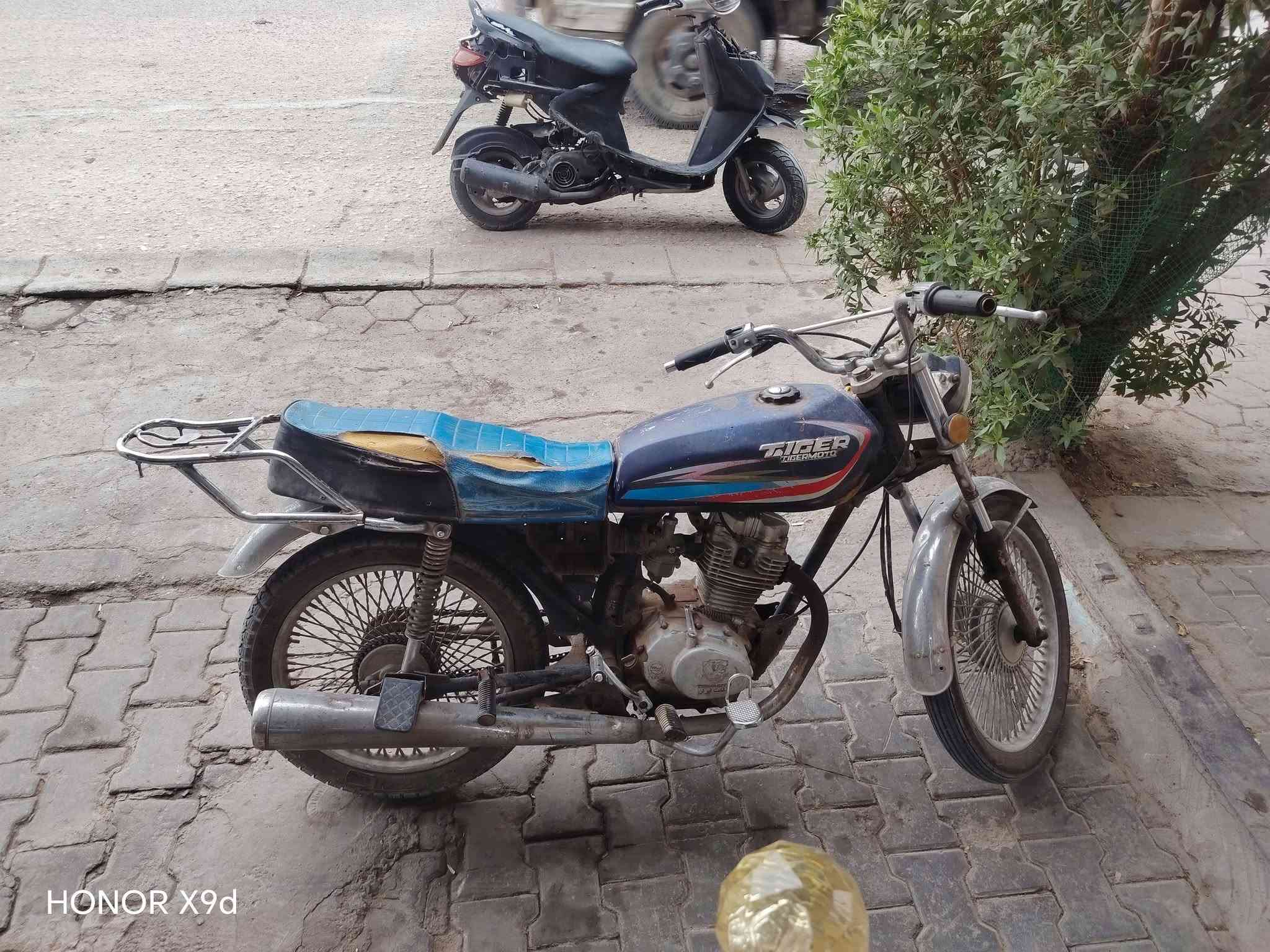كلك • نجف • ميلاد
