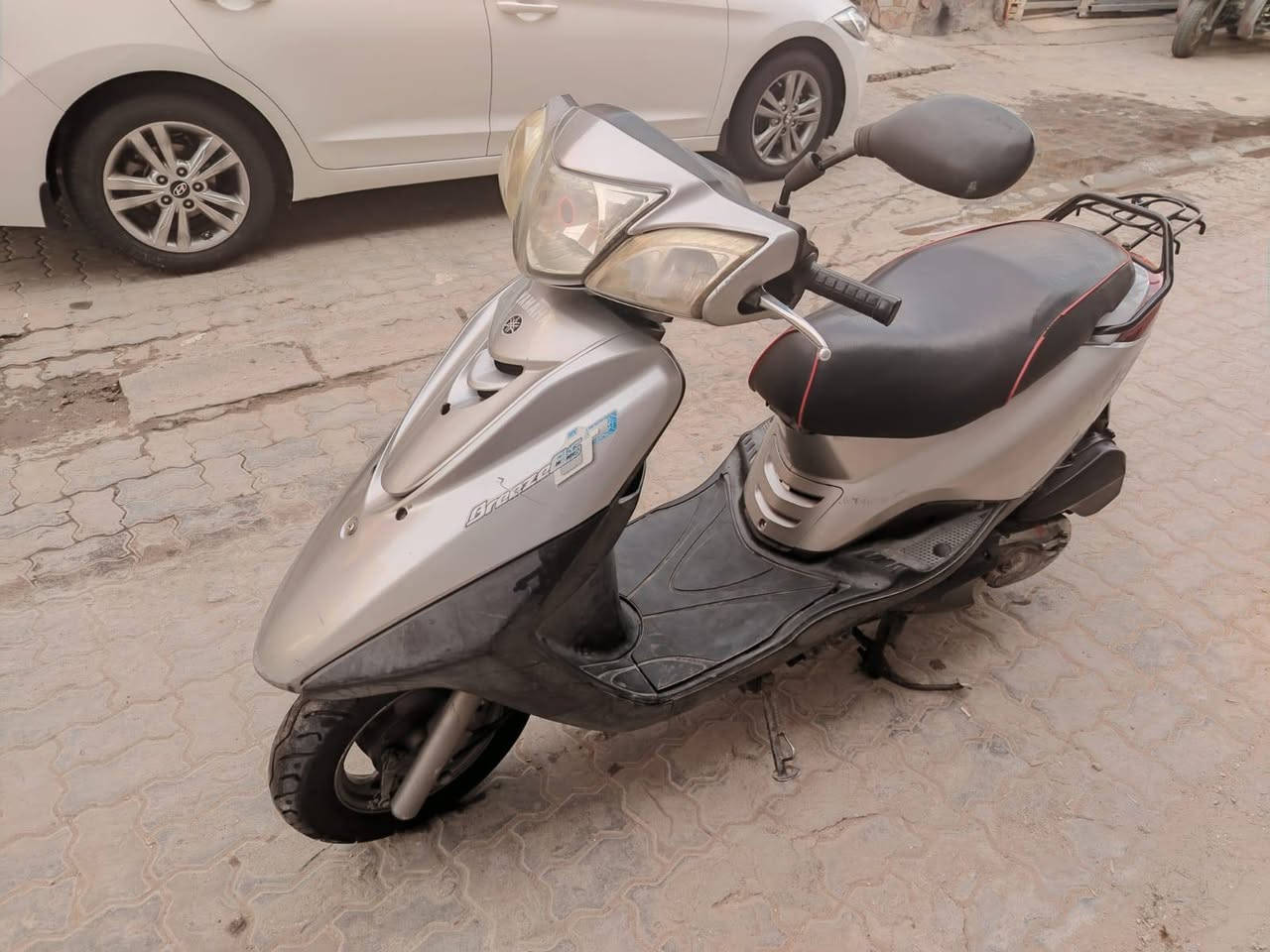 اكزز ببغاء • مكفولة • بغداد