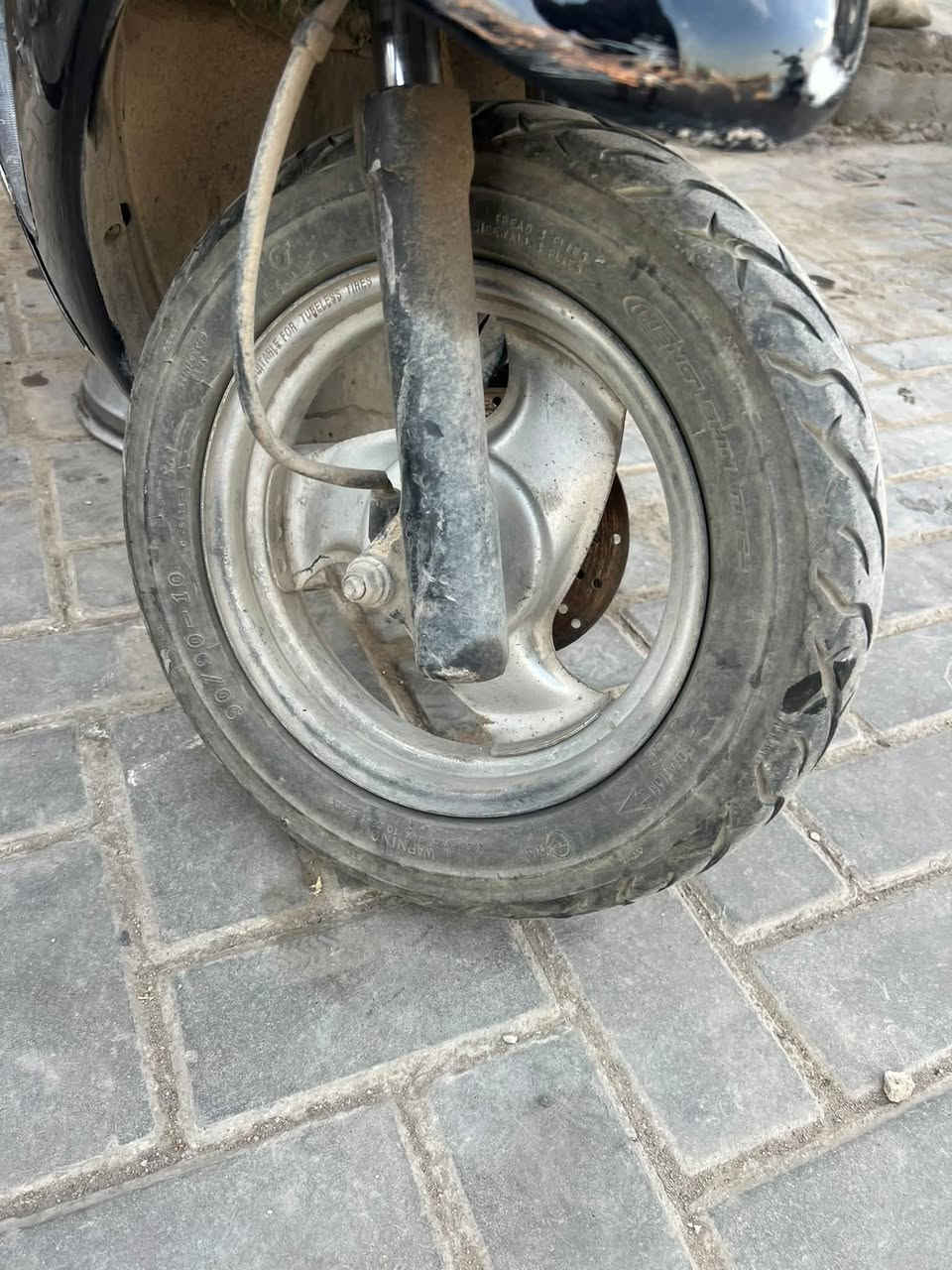 عصفوري • بغداد • الدورة