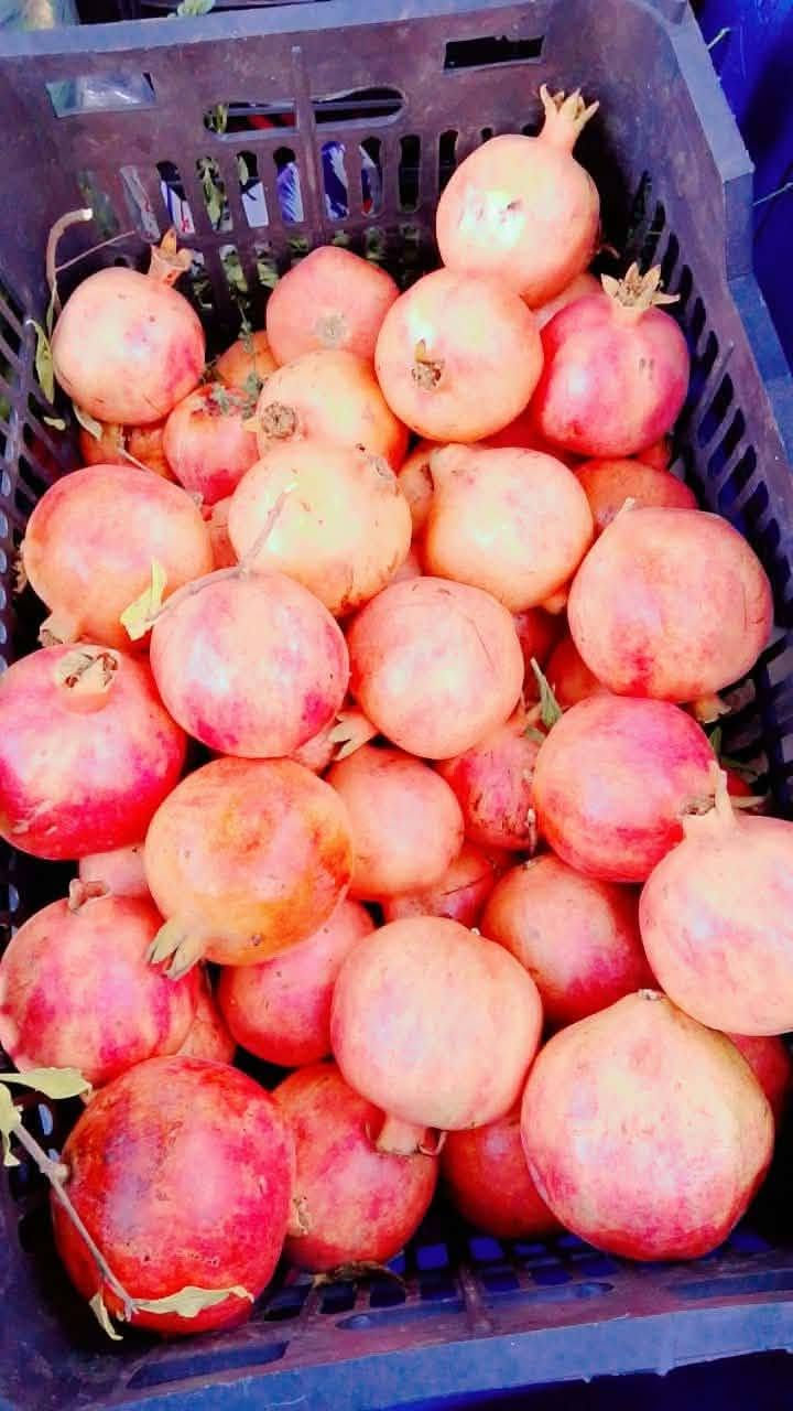 طماطه • بطاطا • تمر