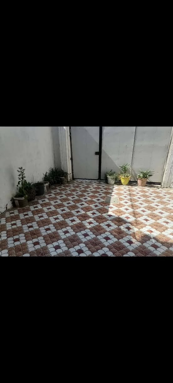 بعفك القاطع • ١٢٥م • طابقين