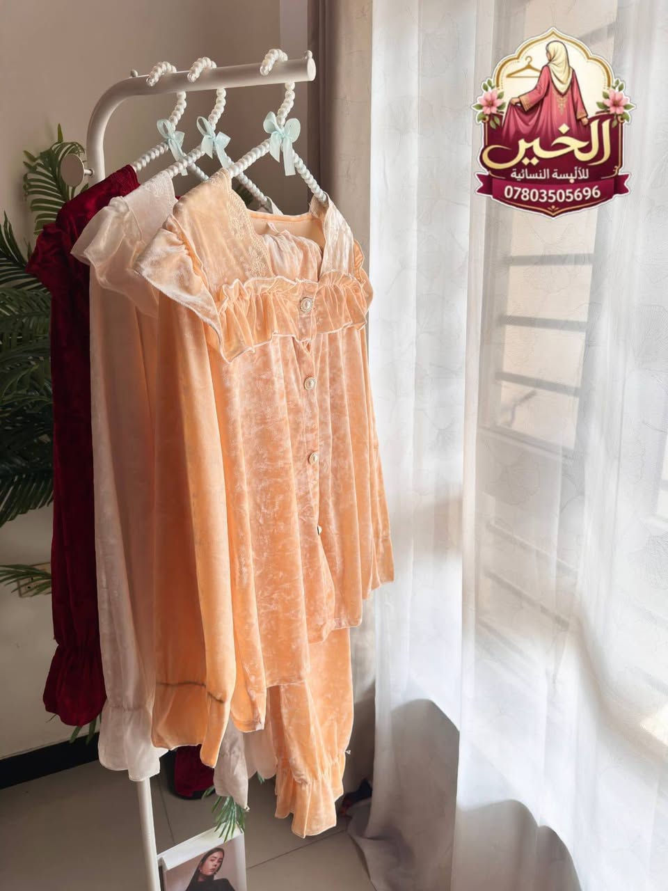 جملة فقط • القديفة الأصلي • سعر الدرزن