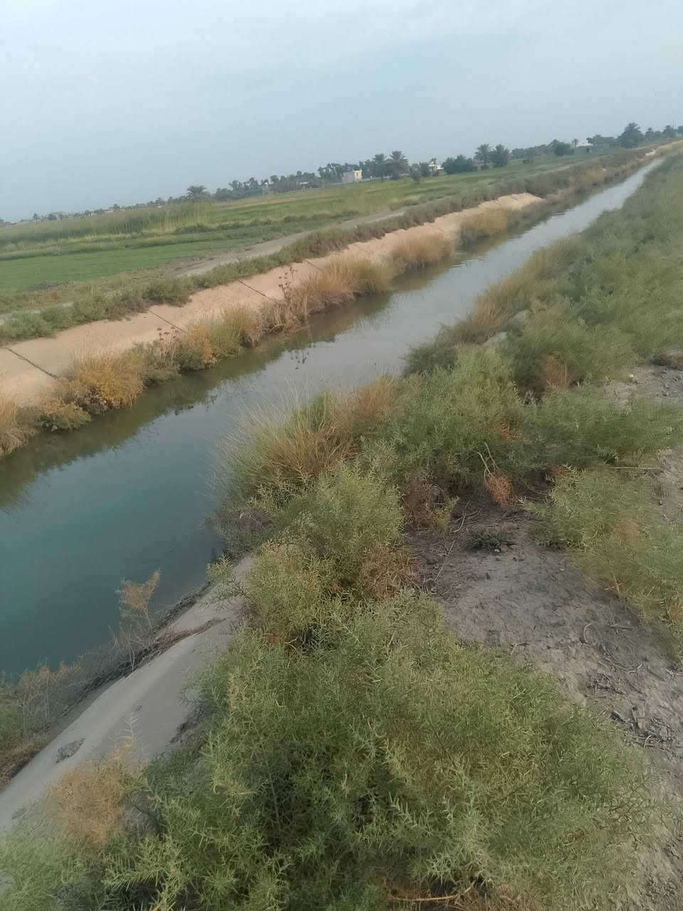 دوانم • العيساويه • مي وكهرباء