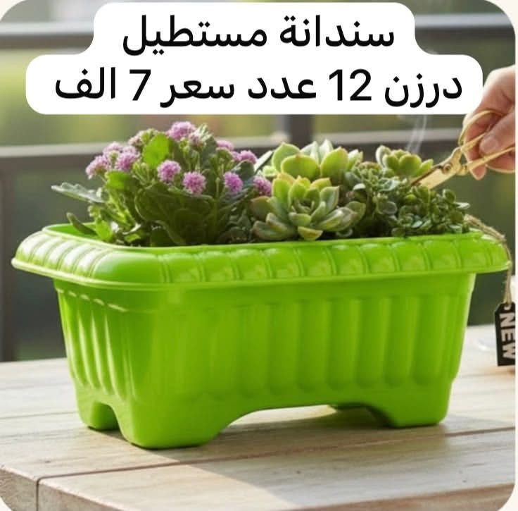 🔥 على بركة الله 🔥

📦 تم وصول حاوية جديدة من مواد البلاستك – حاجة 1000 🏠✨

💥 كل درزن يحتوي على 12 قطعة
💰 سعر الدرزن: 7,000 دينار فقط

🚚 والأحلى!
✅ عند طلب 10 درازن فما فوق → التوصيل مجاناً 🎁

🏪 ولأصحاب المحلات والكميات الكبيرة:
إذا تجي للمخزن وتشتري مباشرة وبكمية كبيرة، إلك خصم خاص جداً وسعر حلو ومميز 🔥💯

📍 موقعنا: الأنبار – قضاء عنة

📩 للحجز والاستفسار:
🔹 المراسلة عبر الماسنجر
🔹 أو الاتصال على الرقم:
📱 ***********
✅ متوفر واتساب

🔥 حاجة 1000 وبأسعار جملة مميزة
💯 الكمية محدودة، بادر بالحجز قبل نفاد الكمية 🛒

نص مكتوب في الصور:
- سندانة مربع درزن 12 عدد سعر 7 الف
- سندانة مستطيل
- درزن 12 عدد سعر 7 الف
- نجانة مع جمجة درزن 12 سيت سعر 7 الف
- نجانة مع مصفى
- درزن 12 سيت سعر 7 الف
- تختة زلاطة مربع درزن 12 عدد سعر 7 الف
- تختة زلاطة دائرة
- منظم ملاعق
- مكرافة درزن 12 عدد سعر 7 الف
- نجانة حمام درزن 12 عدد سعر 7 الف