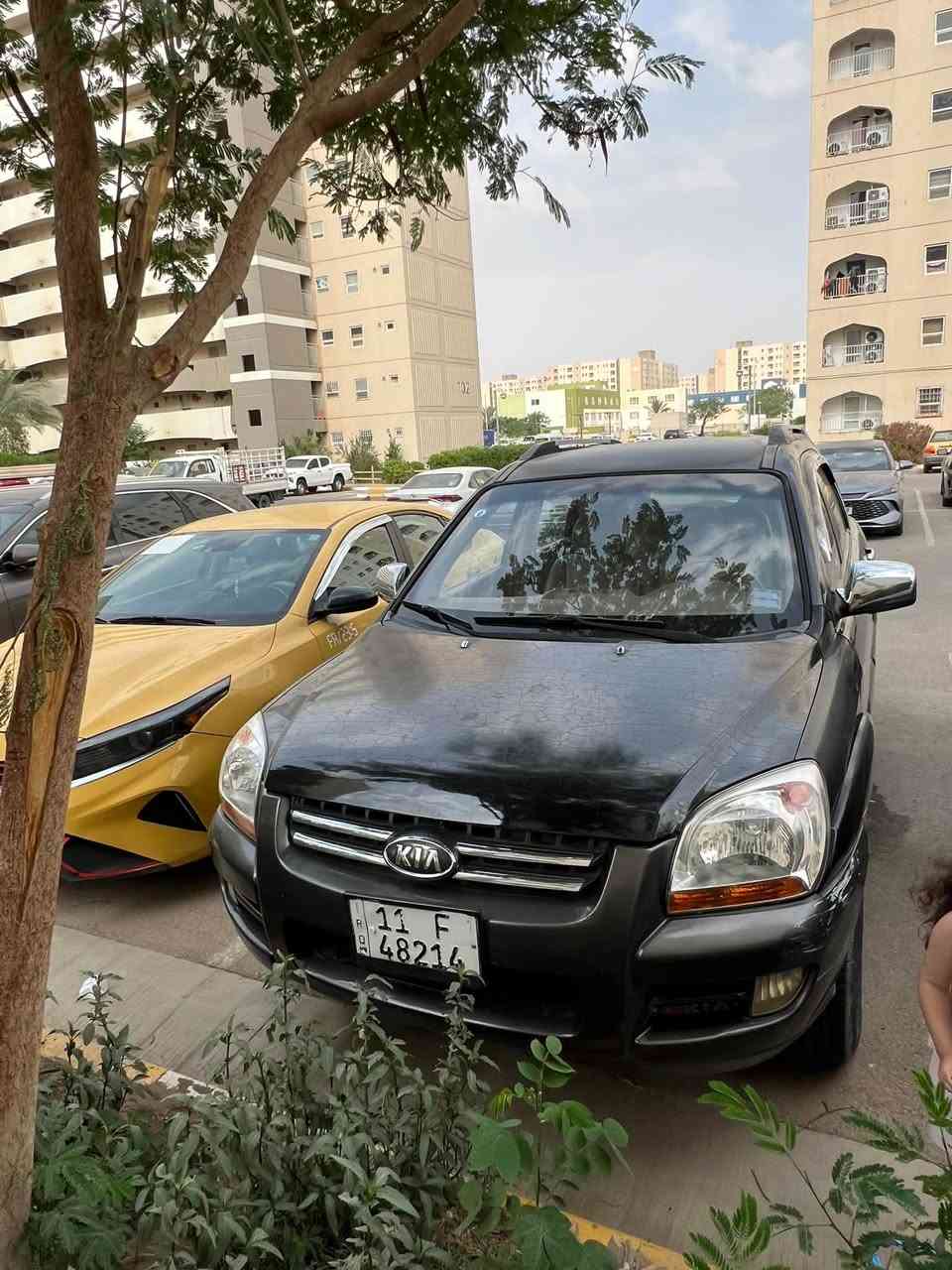 بدون صبغ • رقم بغداد • ٢٦٠٠٠٠ كم