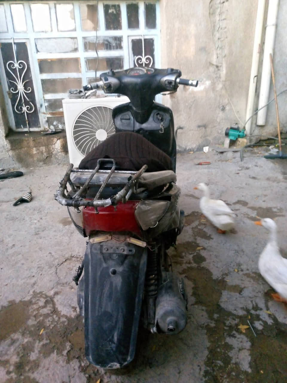 سلام عليكم دراجه سكنس لبيع ياباني شغاله نص نكره سلف وهندر وكهرباءيتها كلها شغاله كامله وكفراتها بلاديه انضاف ومحركها بلادي نطيف مامفتوحه ابد بلاديه ناعمه خير من الله وكهرباء كلها شغاله من طول لطول نقصها فقط باتري شغاله هندر واحد مكاني بشارع فلسطين رقمي *********** متواجد وتساب ورصيد السعر 290 بيها مجال لشراي
