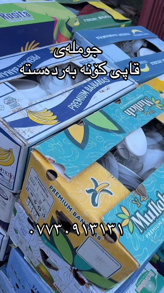 سلیمانی کەنەسورە • جملة • ابواب قديمة