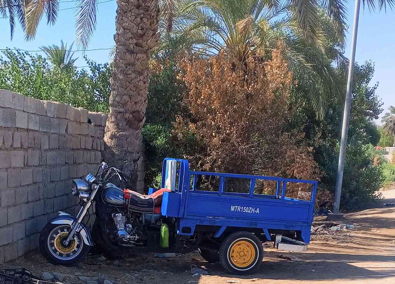 السلام عليكم  ستوته البيع اوراق اصولي المديل 2016وكيل ابن جبريل شاصي مكفول كفاله عامه مكينه 25اكسن جمره بل جيس تايرات خطه جدد كهربائيات كله شغاله المكان النجف قضاء المشخاب السعر 1450وبيه مجال للشراي والشراي بيه خير ويدلل *********** عوزه بس غسله 😅
