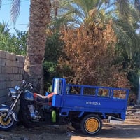 ستوته • ٢٠١٦ • اوراق اصولي