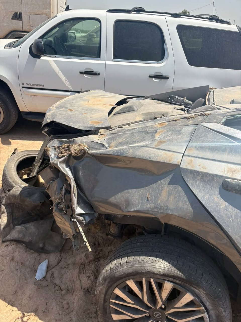 التيما • ٢٠٢٣ • كفاله عامه
