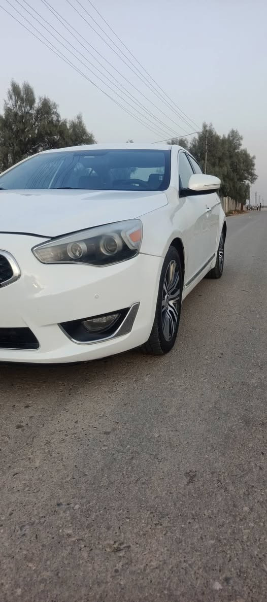 كاتنزا • ٢٠١٤ • تحويل مباشر