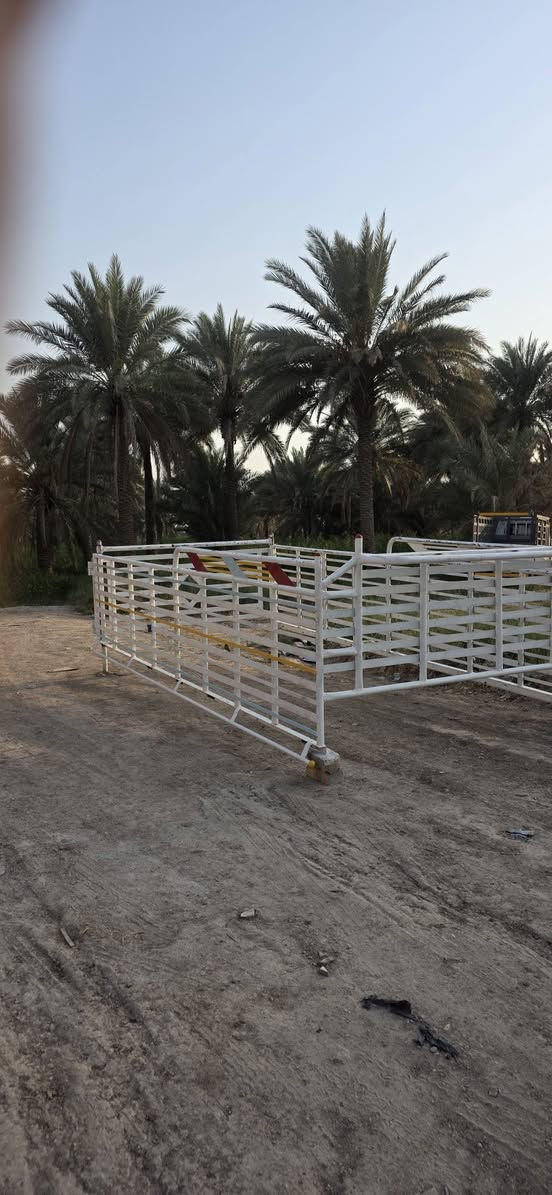 سلام عليكم  محجر مال كنتر لل بيع انج و نص محجر حلو ونضيف ما بي أي زجار العنوان  بابل  الحمزه الغربي الستفسار ***********  ما متواجد ع فيس السعر 550
